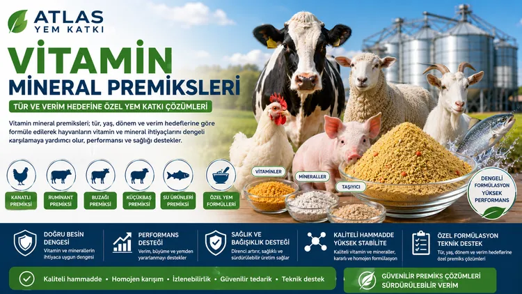 Taşıyıcı Hammaddeler